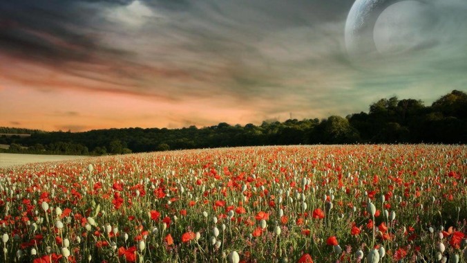 如果有人自称中央特派员，手持中央密令，到看守所要求提走一个***，看守所会交人吗？